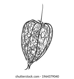 Physalis autotraced vector sketch, greyscale. physalis, vector sketch on a white background