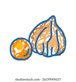 physalis autumn doodle icon sketch vector. physalis autumn sign. isolated symbol illustration