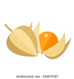 Physalis berries and leaves vector illustration. Superfood groundcherries icon. Healthy detox natural product. Flat design organic food.