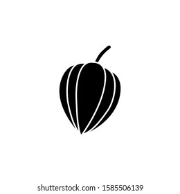 Physalis in black and white colors vector.