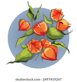 Physalis. Bouquet of physalis. Botanical illustration. Cape Gooseberry. Orange Physalis with green leaves