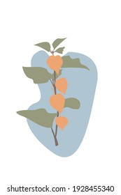 Physalis branch. Abstract boho minimalist poster for nursery wall design, party invitations, t-shirt design, etc. Creative vector cartoon illustration 