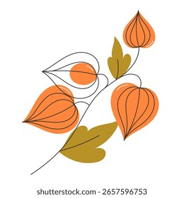 Physalis Branch with Fruits Groundcherry Cape Gooseberry Flat Style Illustration