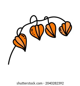Ilustración simple de la rama de Physalis. Ilustración de la flor del otoño de Doodle.
