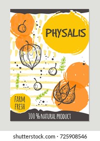 Physalis brochure concept design. Retro background. Hand drawn vector illustration. Can be used for street festival, farmers market, country fair, shop, menu, cafe, restaurant, poster, banner.
