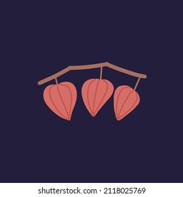 Capas de Physalis colgando de una rama. Planta de alimentos para frutales y bayas con ramas y hojas secas para la decoración. Ilustración de vector plano botánico aislado