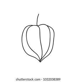physalis doodle icon