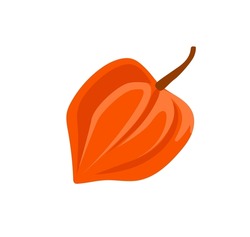Physalis Flower, Lampion Flower, Red Chinese Japanese Lantern, Bladder Cherry. Autumn Dry Decorative Plant. Simple Isolated Hand-drawn Vector Illustration.