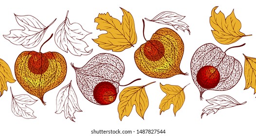 Physalis fruit and autumn leaves, seamless vector illustration