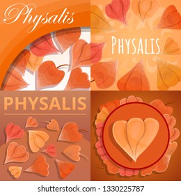 Physalis fruit banner set. Cartoon illustration of physalis fruit vector banner set for web design