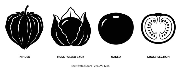 Physalis fruit in husk husk pulled back naked and cross section silhouette isolated transparent background
