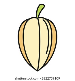 Physalis fruit, also known as cape gooseberry or groundcherry, vector art illustration