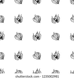 Physalis graphic illustration isolated on white background, vector seamless pattern medical plant, Floral ornament design texture for paper, package tea, cosmetic, wallpaper, textile, natural product