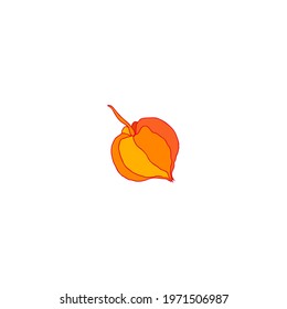 Physalis hand drawn doodle vector sketch isolated on white background, graphic decorative berry, Organic healthy food ingredient, colorful illustration for healthy market, restaurant menu, cosmetic
