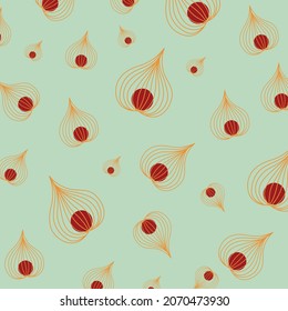 Physalis hand drawn doodle vector sketch isolated on white background, graphic berry set, Organic healthy food ingredients, colorful illustration for healthy market, restaurant menu, cosmetics
