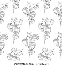 Physalis hand drawn vector illustration on white background. Seamless pattern. Floral  texture for paper, package tea, cosmetic, wallpaper, textile, eco product, scrap paper, book cover, etc