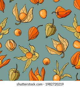 Physalis. Hand-drawn seamless pattern with physalis berries. Design for fabric, textile, wallpaper, packaging.