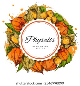 Physalis plant color sketch vector round label design with lettering. Hand drawn leaves and berries orange gooseberry fruits peeled and in husk. Sweet farm or wild food product. Autumn nature flora