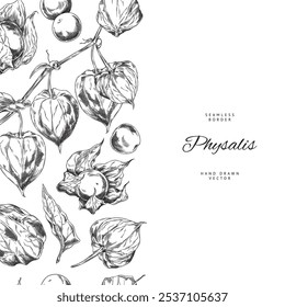 Physalis. Round fruits, berries on a branch. Leaves. Decorative garden plant. Botany. Sketch style. Hand drawn. Seamless vertical border on the left side. Vector illustration on a white background.