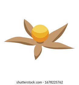 Physalis-Samensymbol. Isometrisch zur Vektorillustration von Physalis-Saatgut Symbol für Webdesign einzeln auf weißem Hintergrund