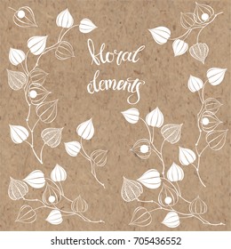 Physalis. Seven isolated vector floral elements for design on a kraft paper.