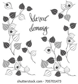Physalis. Seven isolated vector floral elements for design. Black silhouettes on a white background.