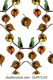 Physalis Sprig seamless pattern on white background. Chinese lantern, Winter cherry plant. Cloth & rug design. Black, Green, Orange & White vector backdrop. Hand drawn engraved vintage illustration.