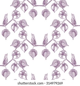Physalis Sprig seamless pattern on white background. Chinese lantern or Winter cherry plant. Cloth & rug design. Pastel Violet & White vector backdrop. Hand drawn engraved vintage illustration.