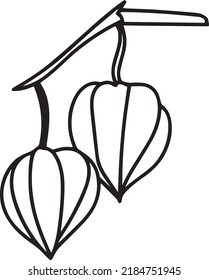 Vector Physalis, imágenes prediseñadas, negro y blanco
