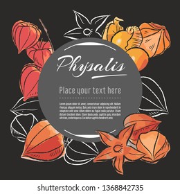 physalis vector hand drawn healthy food illustration. Fruit design with sketch elements for banner, greeting card	