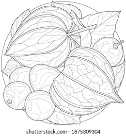 
Physalis.Coloring book antistress for children and adults. Illustration isolated on white background.Zen-tangle style.