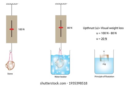 Physic illustration of up-thrust experiment with spring balance example, archimedes principle, law, theory, upthrust, weight loss upthrust, weight of an object is equal to the upthrust, flotation