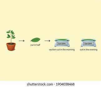 Physical And Chemical Change Example Science Lesson