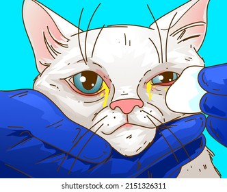 Exámenes físicos del gato. Gato con problemas de salud. Inflamación de los ojos del gato. Ilustración veterinaria. Ilustración vectorial.