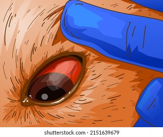 Physical examinations of the dog. A closeup image of the infected dog's eye. Inflammation of the dog's eyes. Veterinary illustration. Vector illustration.