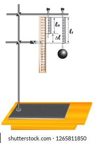 A physical experiment demonstrating the change in the length of the spring as a result of the action of the metal ball, on which the force of the earth acts.