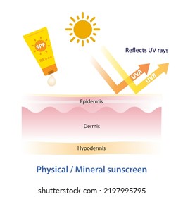 Physical, Mineral Sunscreen Reflects UV Rays Vector On White Background. How To Physical, Mineral Sunscreen Works On Layer Skin. Skin Care And Beauty Concept Illustration.