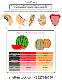 Physical Property infographic diagram showing using human five senses without changing its chemical composition and comparison of watermelon and sweet melon for physics and chemistry science education