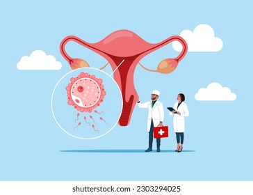 The physician, specialist holds a big sign - female reproductive system. Tracking menstrual cycle and female reproductive system. Menstruation calendar. Female menstrual cycle. Vector illustration. 