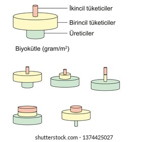 physics chemistry biology