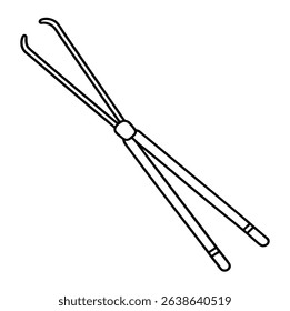 Physics Equipment Vector on White Background