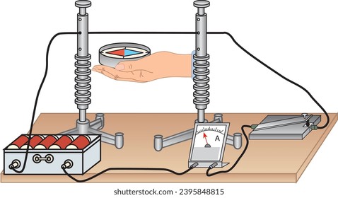 physics, experiment, compass, visual, magnet, north, N, magnet with unknown poles, wire, copper, battery, current, electricity, gravity