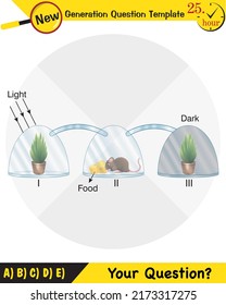 Physics, Joseph priestley's experiment, Photosynthesis phenomenon of plant experiment, Mouse, Butterfly, Oxygen and plant experiment, next generation question template, exam question, eps