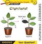 Physics, Joseph priestley's experiment, plant experiments, Oxygen and plant experiment, next generation question template, exam question, eps
