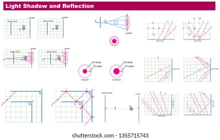 Physics Light and Reflection Vector
