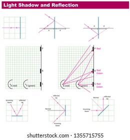 Physics Light and Reflection Vector
