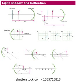 Physics Light and Reflection Vector