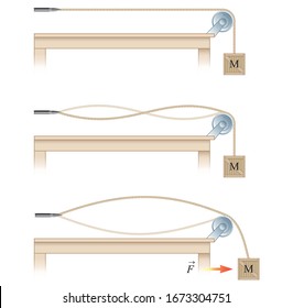 Physics. Motion, The laws of motion, Simple Machines Pulleys, Gears, Inclined plane.