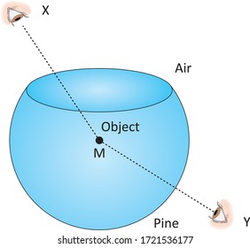 Physics - Reflection and spherical mirrors