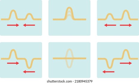 Physics. Physics Science Constructive and Destructive Initiative. Waves approaching, waves overlapping, waves continuing. ösym